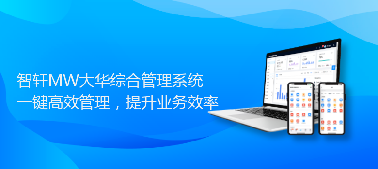 MW大华综合系统
